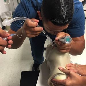 Meet your Posher, Kenny